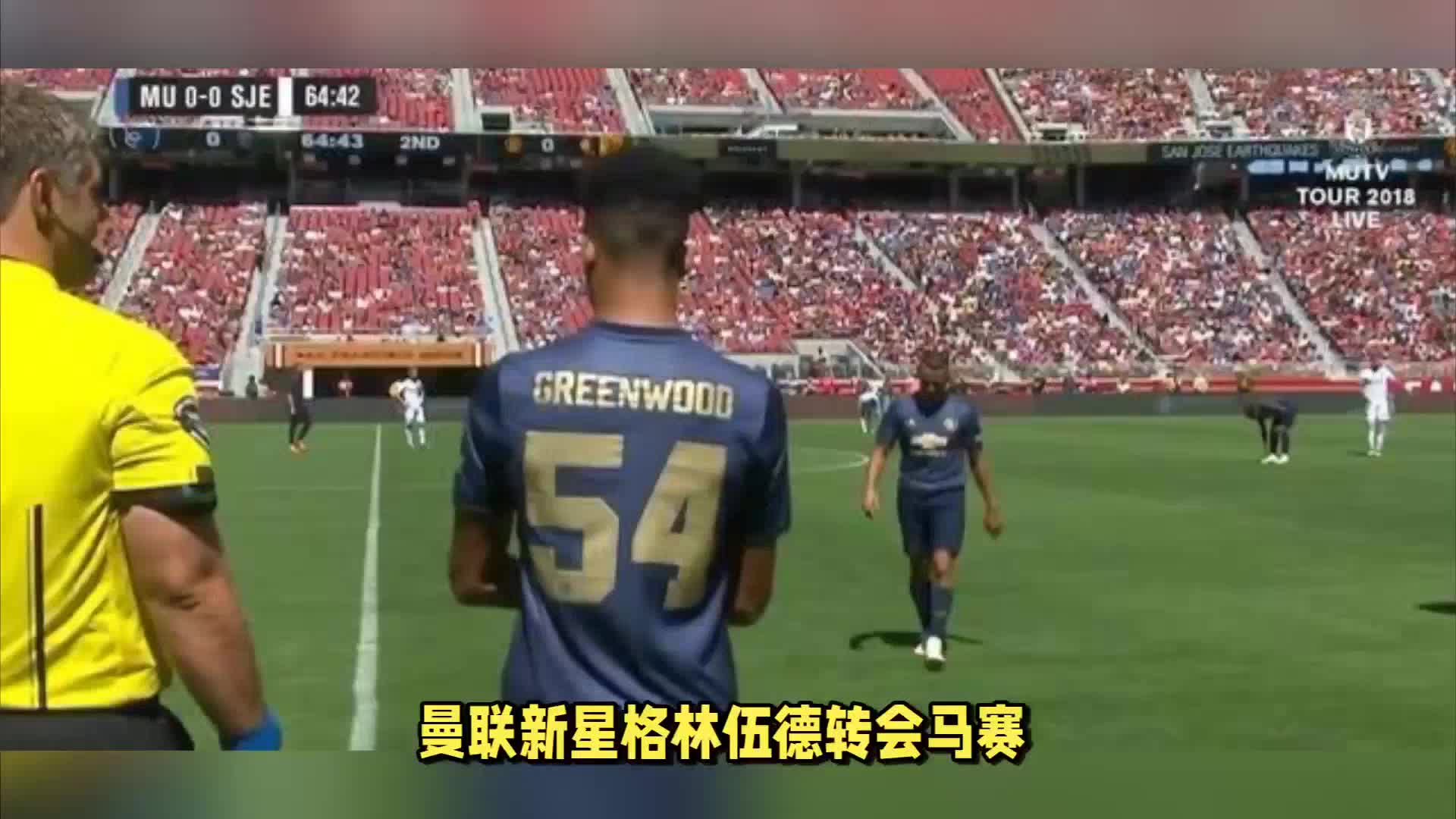 型利